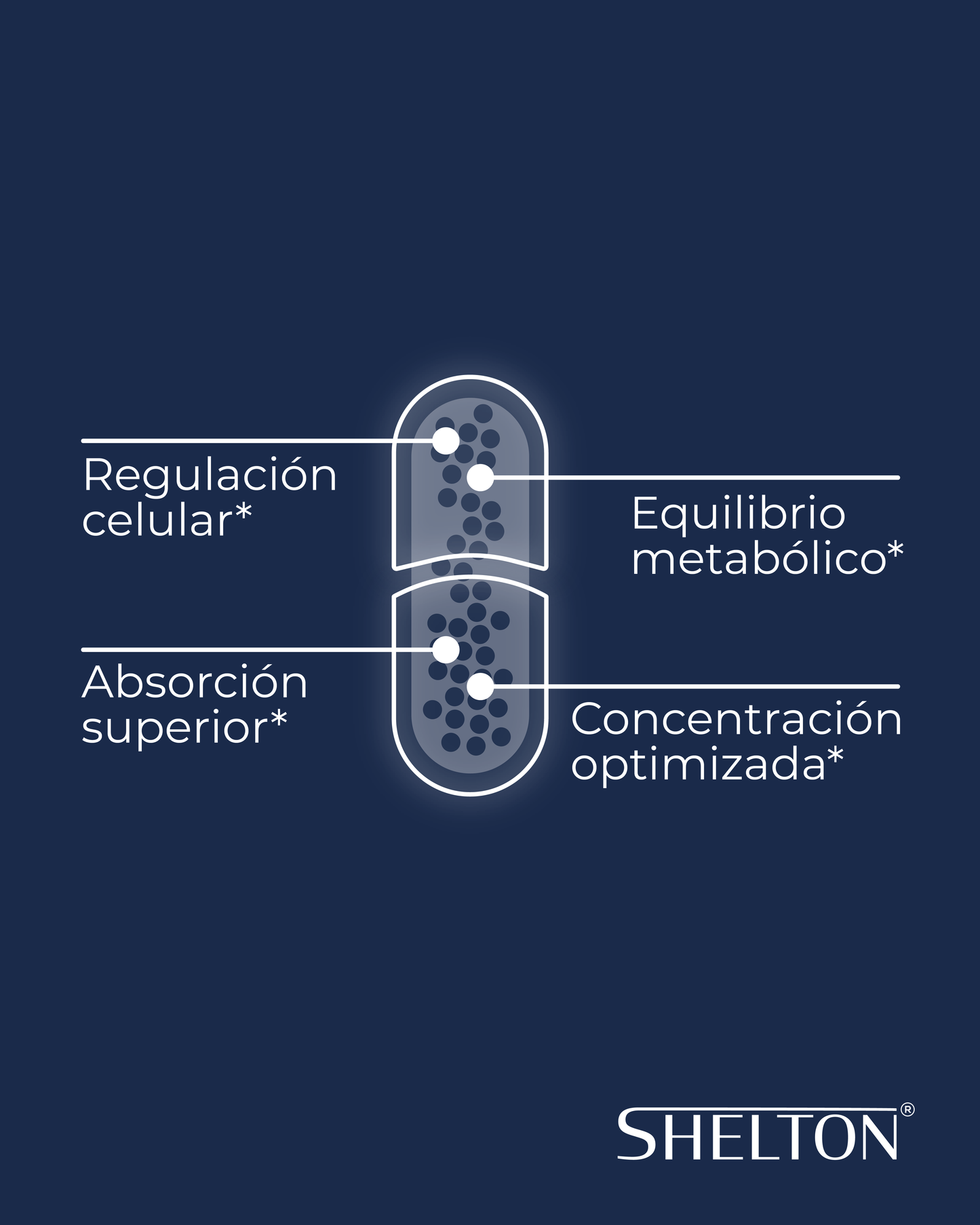 💥 NAD COMPLEX + RESVERATROL 💥